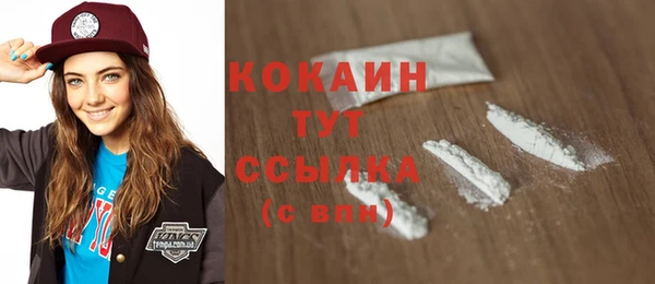ПСИЛОЦИБИНОВЫЕ ГРИБЫ Магас