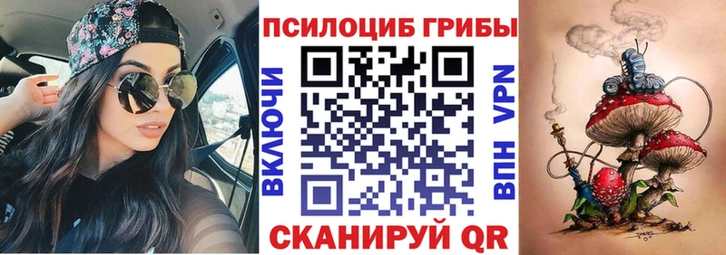 Галлюциногенные грибы Cubensis  цена наркотик  Владимир 