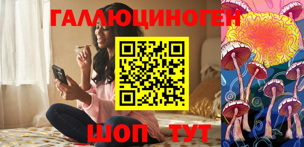 Псилоцибиновые грибы Cubensis  Галлюциногенные грибы ЛСД  Владимир 