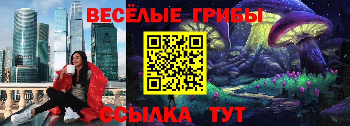 Псилоцибиновые грибы мухоморы Владимир