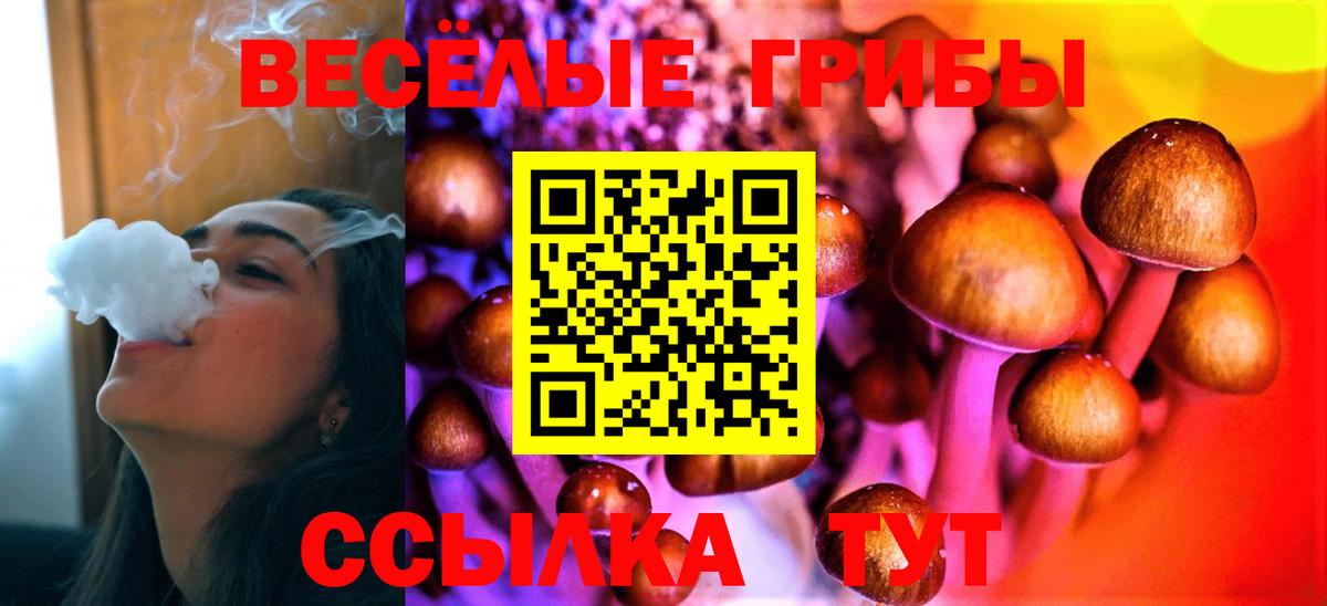 Псилоцибиновые грибы Magic Shrooms Владимир