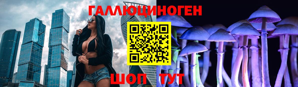 Псилоцибиновые грибы Psilocybine cubensis  Вход с VPN  Владимир 